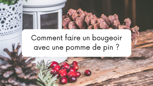 Comment faire un bougeoir avec une pomme de pin ?